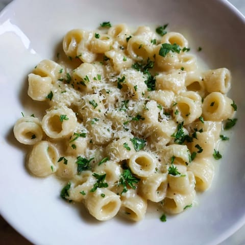 Close-up of golden ditalini pasta in a creamy garlic sauce, perfect Italian comfort food.